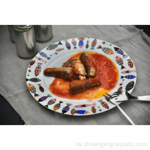 Sardine in Dosen in Tomatensauce mit Zertifizierungen